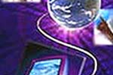 Tổng quan thị trường CNTT Việt Nam 2005