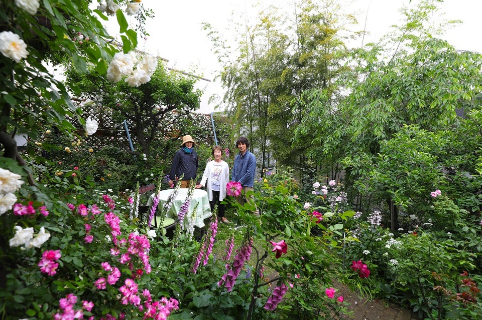 Vườn hồng đẹp như cổ tích của cụ bà Nhật Bản - 8 Vườn hồng đẹp như cổ tích của cụ bà Nhật Bản - 8