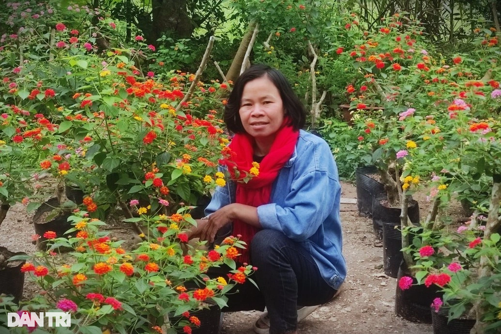 Người phụ nữ đơn thân biến cây dại thành hoa đẹp rực rỡ, kiếm tiền triệu - 6 Người phụ nữ đơn thân biến cây dại thành hoa đẹp rực rỡ, kiếm tiền triệu - 6