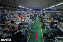 Doanh nghiệp "trải thảm" đón lao động