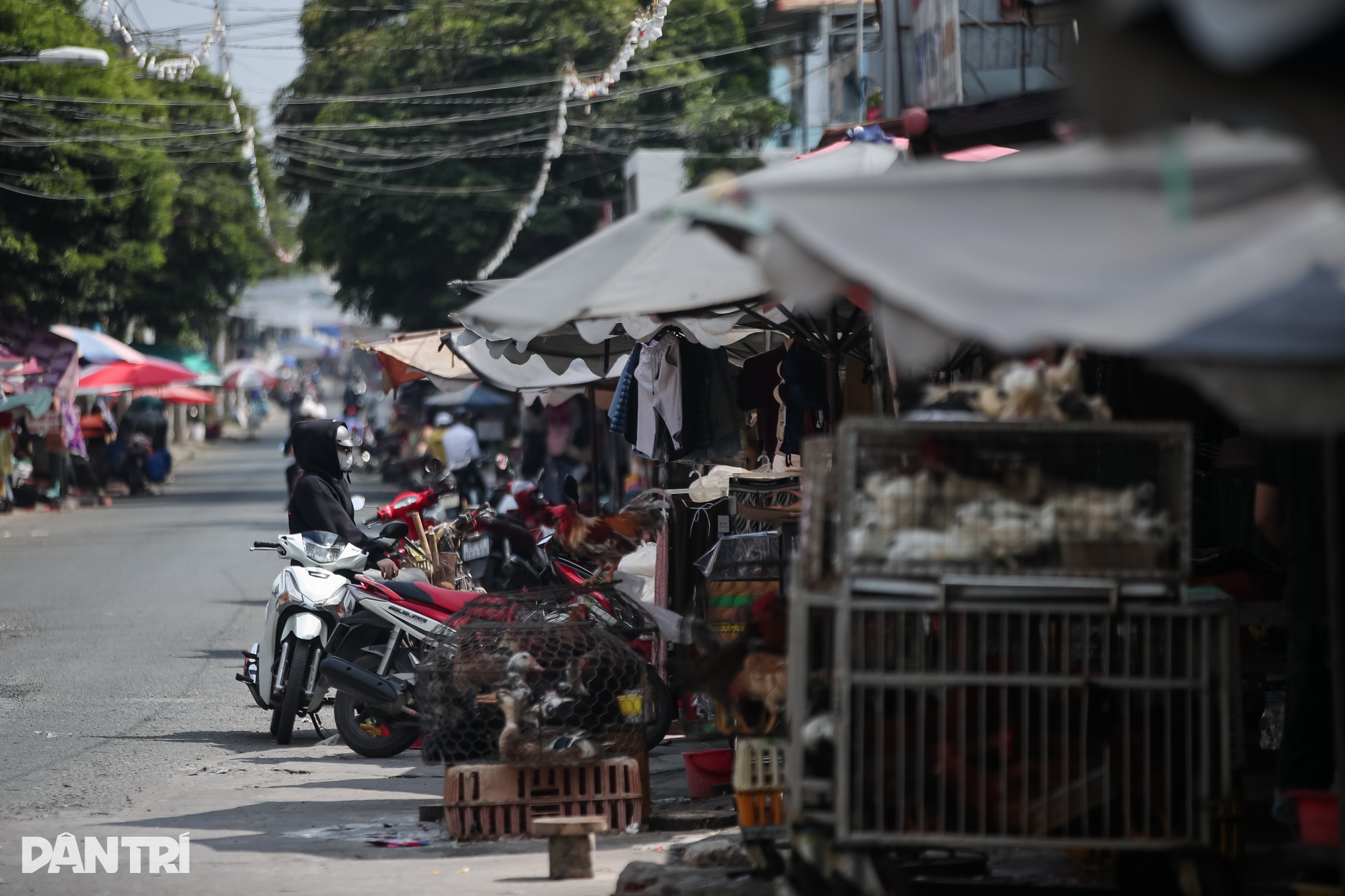 Hai ngôi chợ tiền tỷ ở TP Thủ Đức hoang tàn sau nhiều năm bỏ hoang - 9