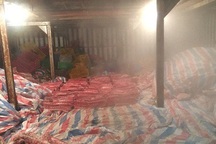 Phát hiện 4 tấn thịt heo bảo quản không đảm bảo vệ sinh