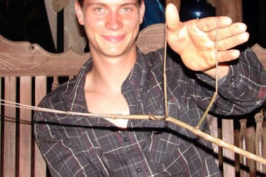 Phát hiện bọ que khổng lồ thứ hai thế giới ở Việt Nam