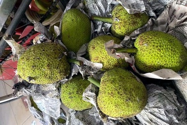 Quả lạ miền Tây tràn ra Hà Nội: Ngoài trông như mít, trong lại giống khoai