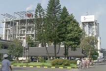 Áp thuế tự vệ thương mại với bột ngọt: Lợi bất cập hại?