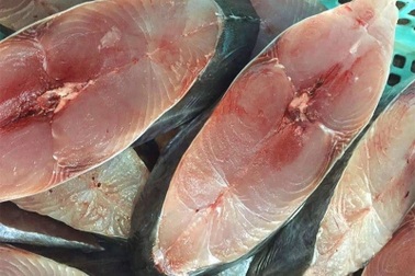 3 loại cá giàu omega-3, ít xương nhiều thịt