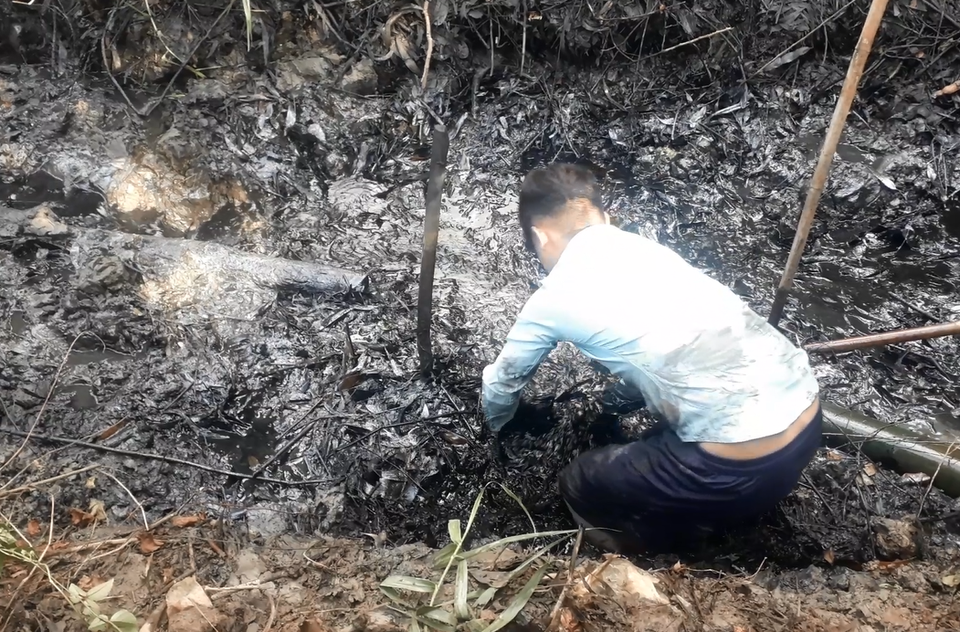 Háo hức tát ao, bắt cá ngày Tết - 3 Háo hức tát ao, bắt cá ngày Tết - 3