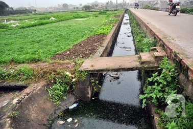 Người tiêu dùng cần hiểu đúng về “thực phẩm sạch” để tự bảo vệ mình