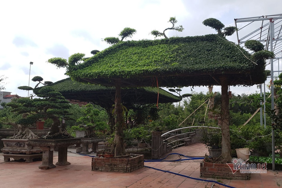 Siêu cây mái đình làng cổ độc nhất Bắc Bộ - 8 Siêu cây mái đình làng cổ độc nhất Bắc Bộ - 8