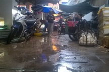 Quảng Ngãi: 20 tiểu thương cùng mắc sốt xuất huyết trong một tuần