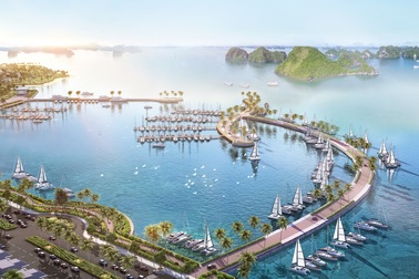 Bất động sản Quảng Ninh 2020 - Nhà đầu tư gọi tên Cẩm Phả