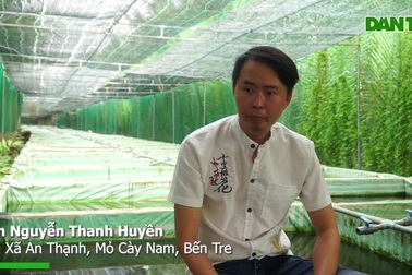 Nhân viên ngân hàng bỏ 5 triệu đồng nuôi cá cảnh, sau 5 năm thành tỷ phú