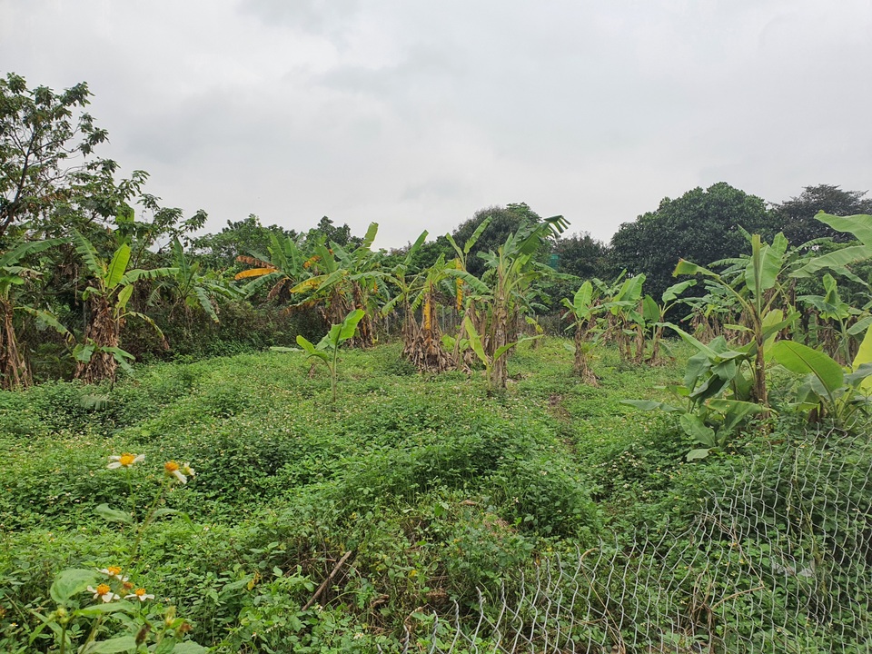 Giá đất 2 bờ sông Hồng bứt tốc tăng 10 lần đón đầu quy hoạch đô thị mới - 5 Giá đất 2 bờ sông Hồng bứt tốc tăng 10 lần đón đầu quy hoạch đô thị mới - 5