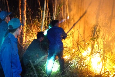 Hơn 600 người trắng đêm dập lửa, rừng ở Cà Mau vẫn đang cháy