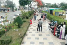 Cây phượng gây bão mạng "hút" đoàn người xếp hàng chờ check-in giữa trưa