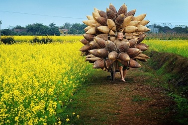 Khoảnh khắc ấn tượng của nhiếp ảnh Việt Nam trên báo quốc tế 2015