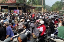 Khách dậy từ nửa đêm đi ngắm dã quỳ, đường vào Vườn Quốc gia Ba Vì tắc dài