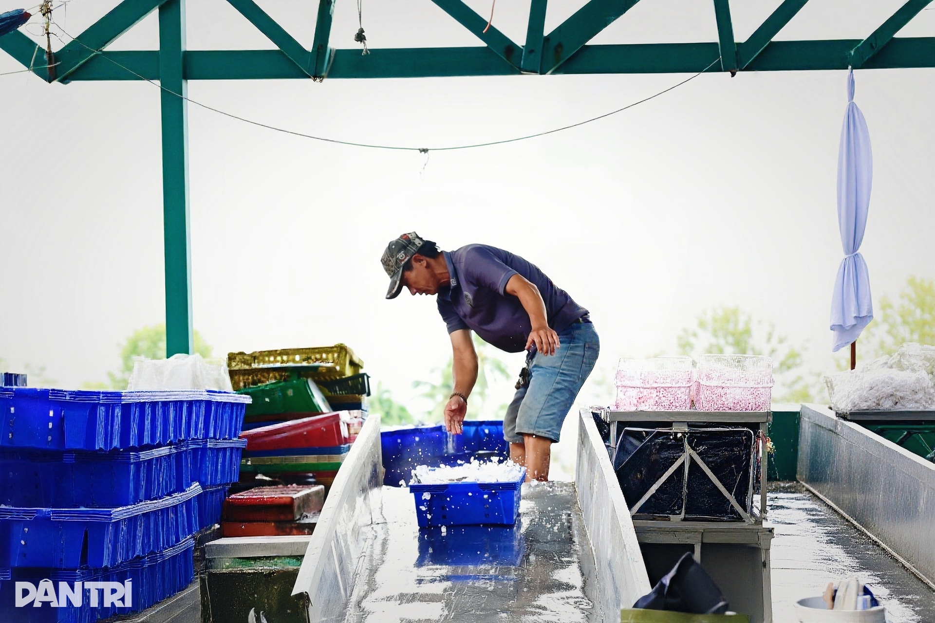 Cuộc sống trở lại nơi cảng cá huyết mạch miền Tây sau bão - 3 Cuộc sống trở lại nơi cảng cá huyết mạch miền Tây sau bão - 3