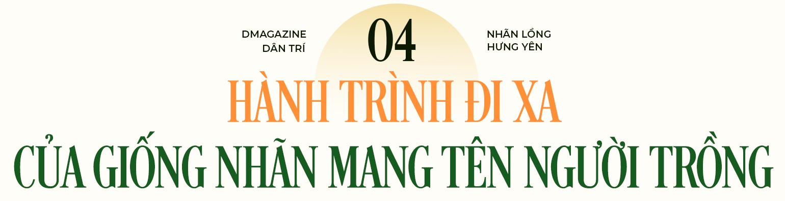 Quyết giữ “lộc phẩm tiến vua”, lão nông thu loại nhãn đắt gấp 10 lần - 21 Quyết giữ “lộc phẩm tiến vua”, lão nông thu loại nhãn đắt gấp 10 lần - 21