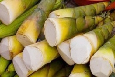 Măng - thực phẩm phòng chống ung thư