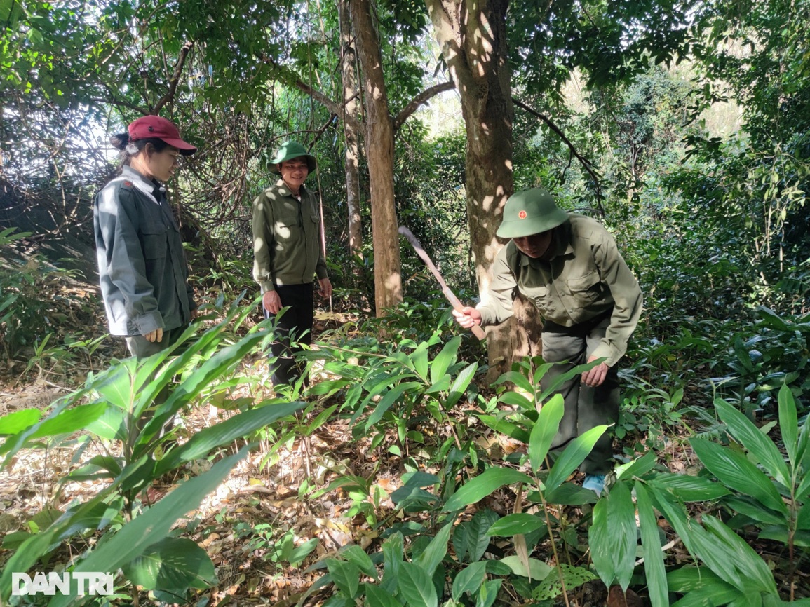 Nữ nhân viên giữ rừng ăn cơm chan nước mắm, ngậm ngùi trong ngày giáp Tết - 6 Nữ nhân viên giữ rừng ăn cơm chan nước mắm, ngậm ngùi trong ngày giáp Tết - 6