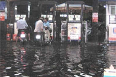 Công tác ứng phó triều cường quá chậm