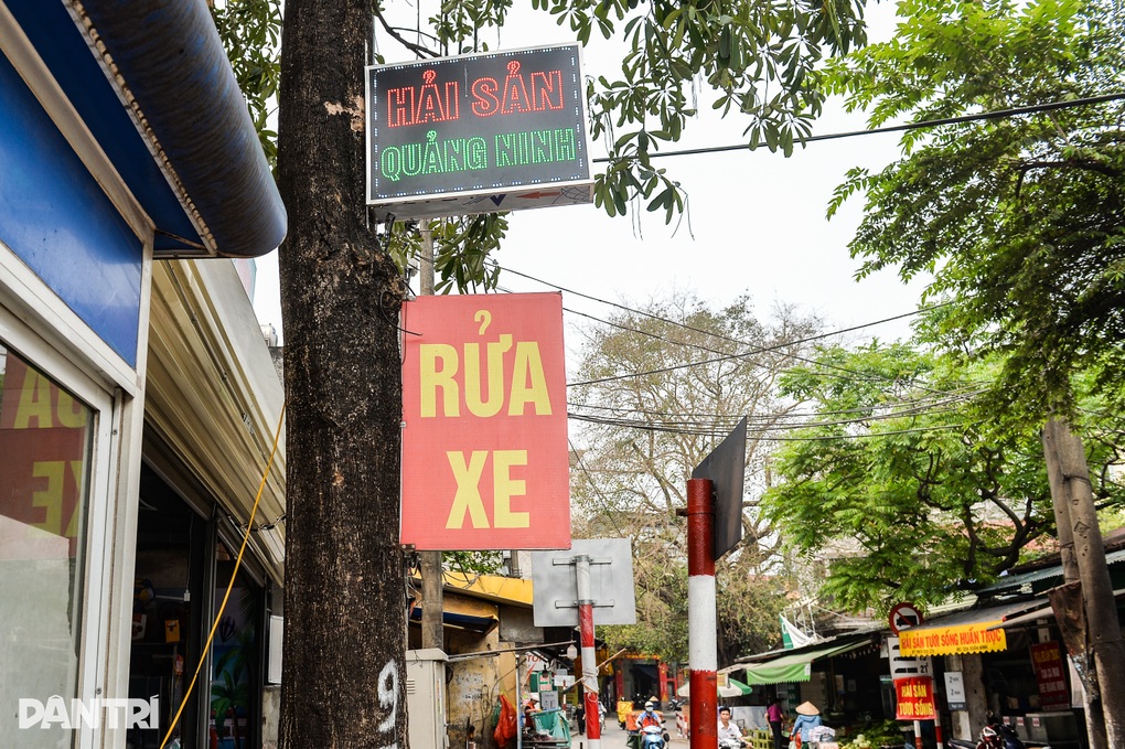 Hàng loạt cây xanh ở Hà Nội bị đóng đinh, còng lưng bán hàng - 1 Hàng loạt cây xanh ở Hà Nội bị đóng đinh, còng lưng bán hàng - 1