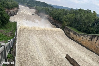 Nguyên Bí thư Tỉnh ủy Phú Yên lý giải việc quy luật dòng chảy bị thay đổi