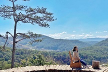 Những quán cà phê ngắm trọn bình minh và hoàng hôn đẹp nhất ở Đà Lạt