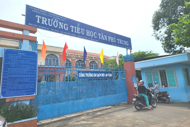 Hiệu trưởng ở TPHCM bị cách chức vì gây thương tích cho học sinh