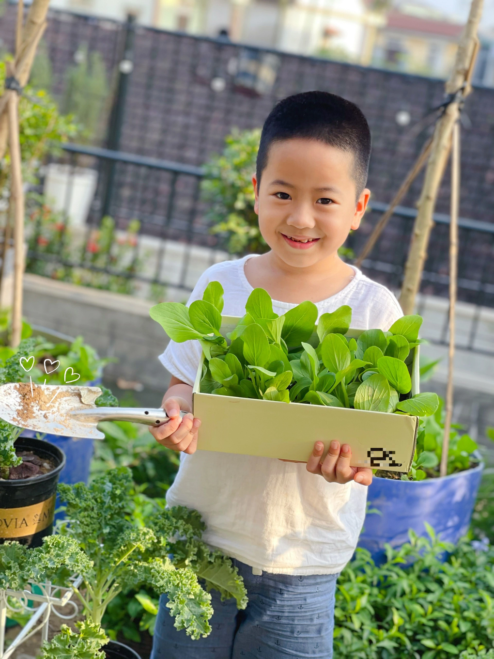 Ông bố khùng đưa bể bơi, vườn cây lên mái nhà 250m2 thay cho máy điều hòa - 10 Ông bố khùng đưa bể bơi, vườn cây lên mái nhà 250m2 thay cho máy điều hòa - 10