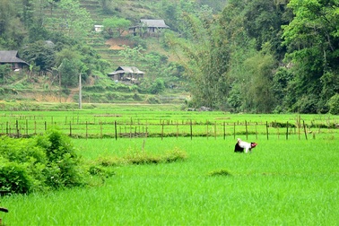 Đi qua cổng trời Hòa - Thanh