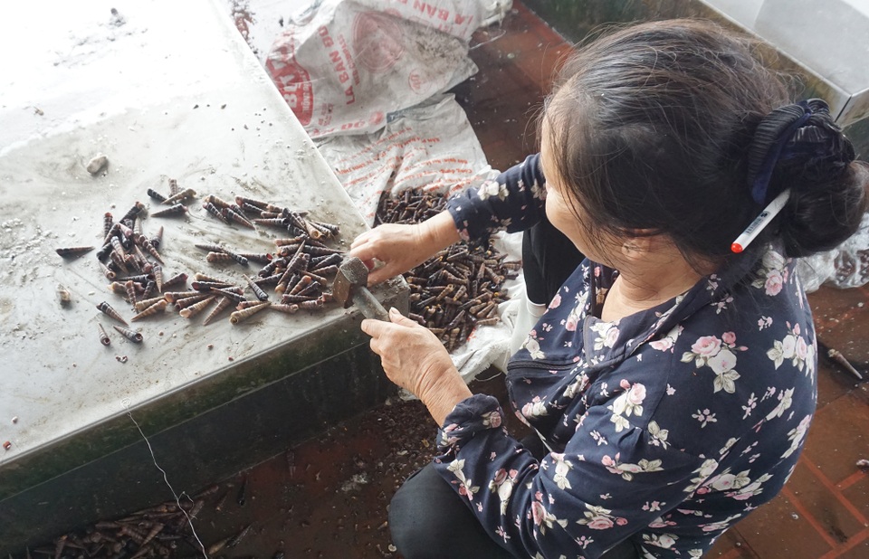 Nhọc nhằn đập trôn ốc, người phụ nữ kiếm bạc lẻ mỗi ngày - 4 Nhọc nhằn đập trôn ốc, người phụ nữ kiếm bạc lẻ mỗi ngày - 4
