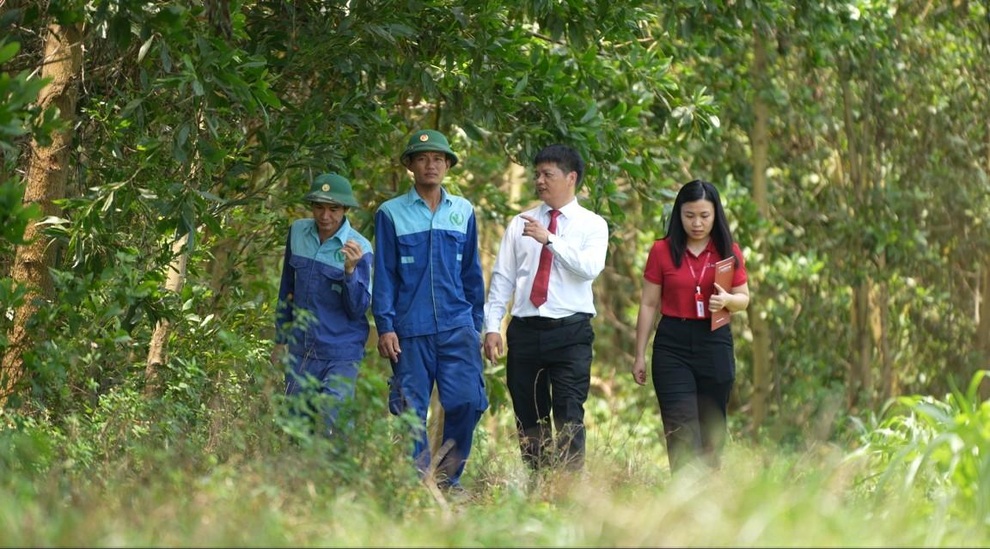 Agribank: Cầu nối đưa tín chỉ carbon Việt Nam vươn ra thị trường quốc tế - 3 Agribank: Cầu nối đưa tín chỉ carbon Việt Nam vươn ra thị trường quốc tế - 3