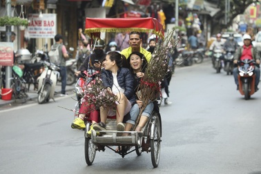 Hoa đào xuống phố báo hiệu xuân đang về