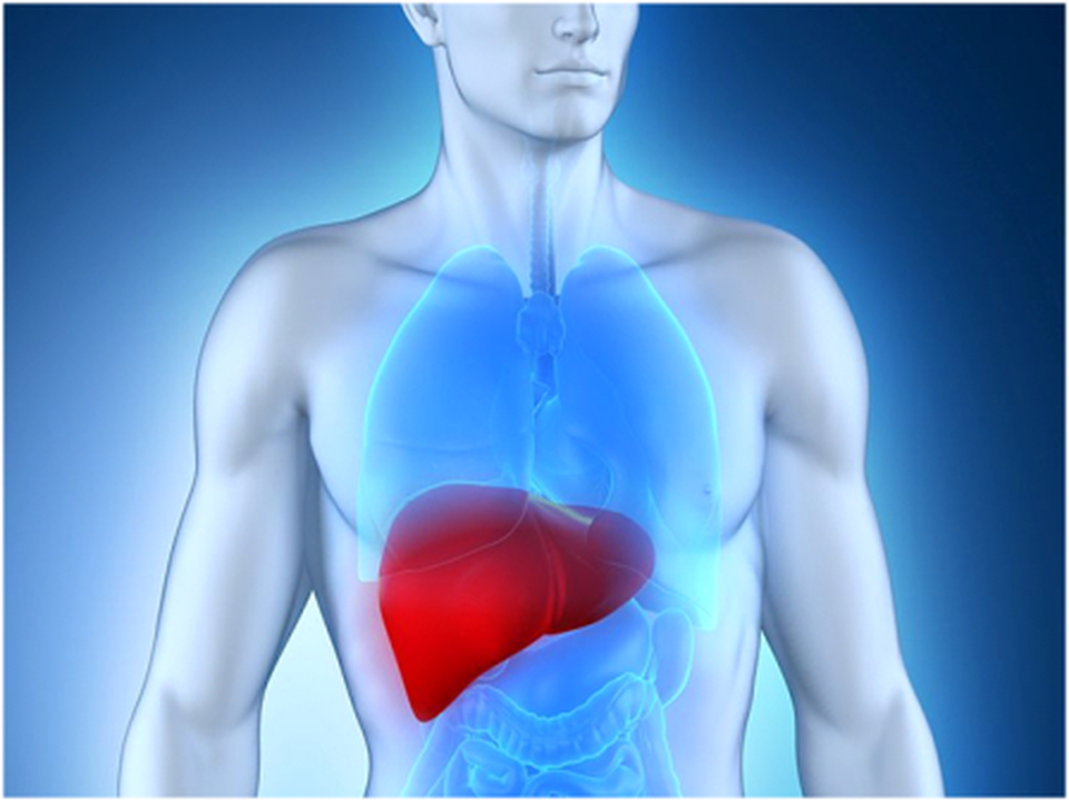 Aspirin có thể làm giảm nguy cơ ung thư gan - 1 Aspirin có thể làm giảm nguy cơ ung thư gan - 1