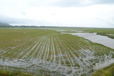 Lũ miền Tây về sớm, dân mừng, cán bộ “sốt vó” lo giữ đê