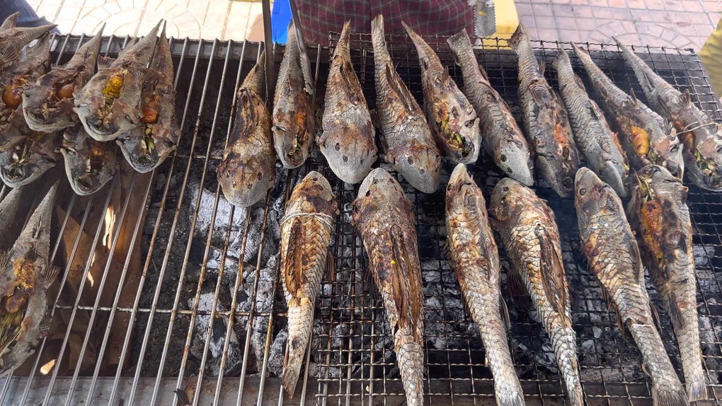 Khách du lịch ngạc nhiên trước đặc sản cá lau kính nướng ở Cần Thơ - 2 Khách du lịch ngạc nhiên trước đặc sản cá lau kính nướng ở Cần Thơ - 2