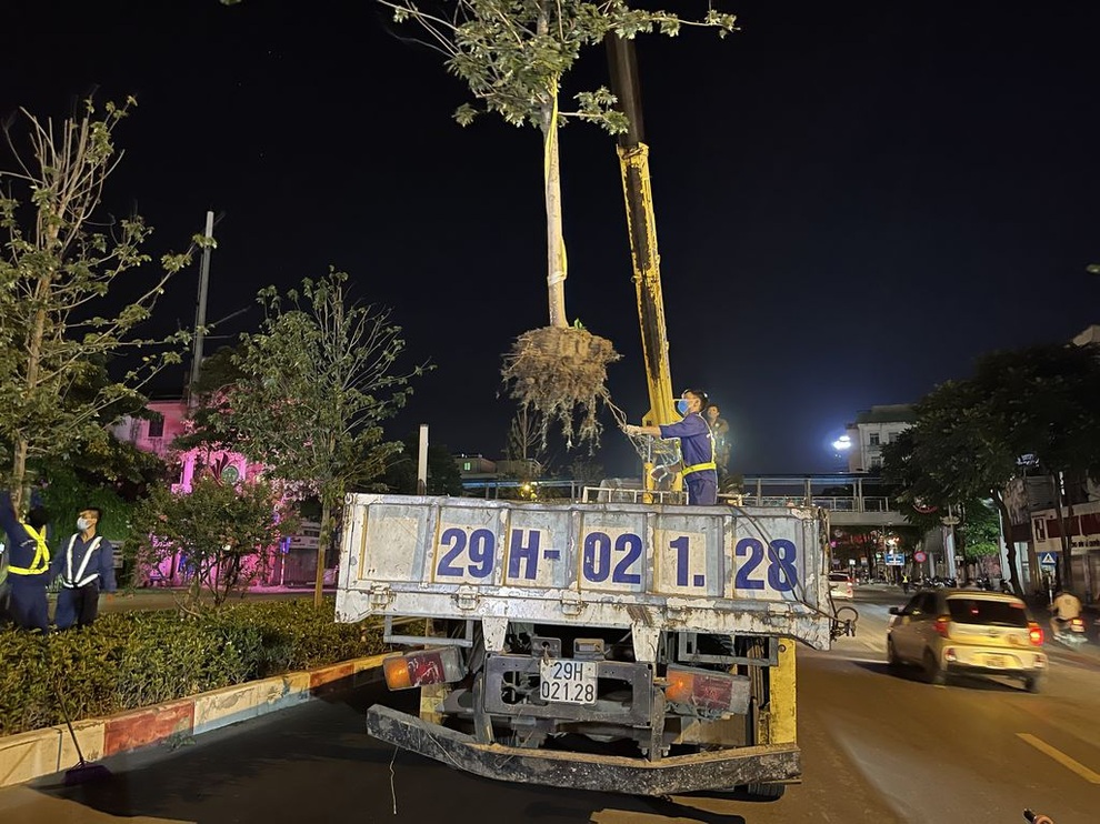 Hình ảnh công nhân xuyên đêm đánh chuyển hàng phong lá đỏ đi tránh nắng - 8 Hình ảnh công nhân xuyên đêm đánh chuyển hàng phong lá đỏ đi tránh nắng - 8