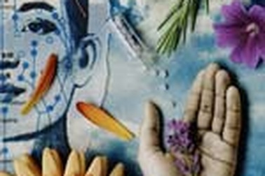 10 thảo dược quanh nhà 