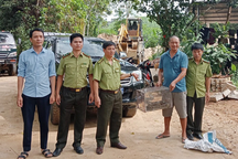 Người dân giao nộp cá thể trăn quý có tên trong sách đỏ