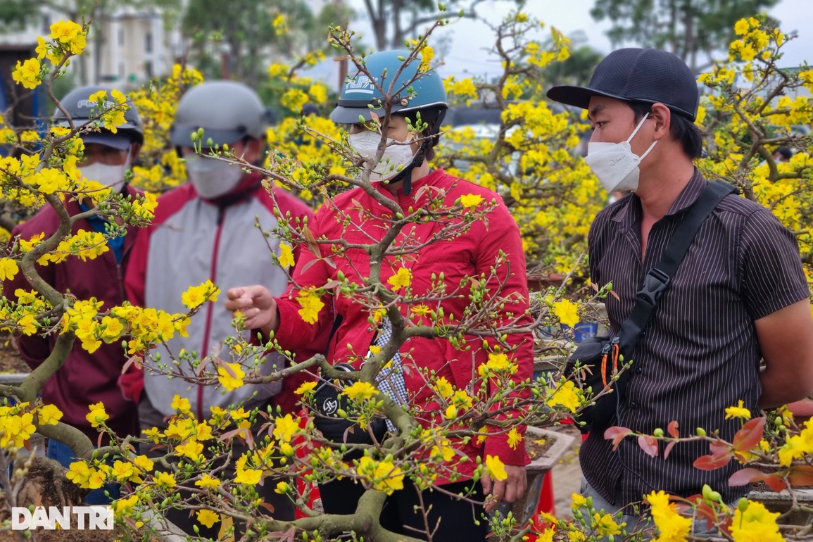 Chợ hoa 29 Tết đông nghịt người, người bán đồng loạt xả hàng - 8 Chợ hoa 29 Tết đông nghịt người, người bán đồng loạt xả hàng - 8
