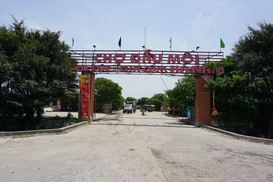 Chợ đầu mối lợn hơi ế ẩm, tiểu thương ngồi đuổi ruồi vì giá quá cao - 1 Chợ đầu mối lợn hơi ế ẩm, tiểu thương ngồi đuổi ruồi vì giá quá cao - 1