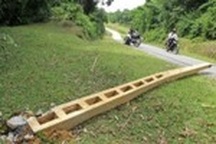 3 con voi rừng quật đổ cột điện