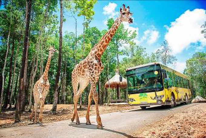 Giữa &quot;tâm bão&quot; dịch Covid-19, Vinpearl Safari đón bé tê giác mới chào đời với cái tên &quot;Chiến thắng&quot; - Ảnh 9.