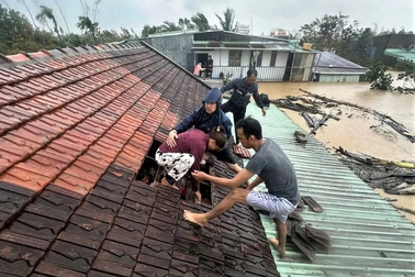 Học ngành nào để dự báo bão, kiểm tra thuỷ điện xả lũ?