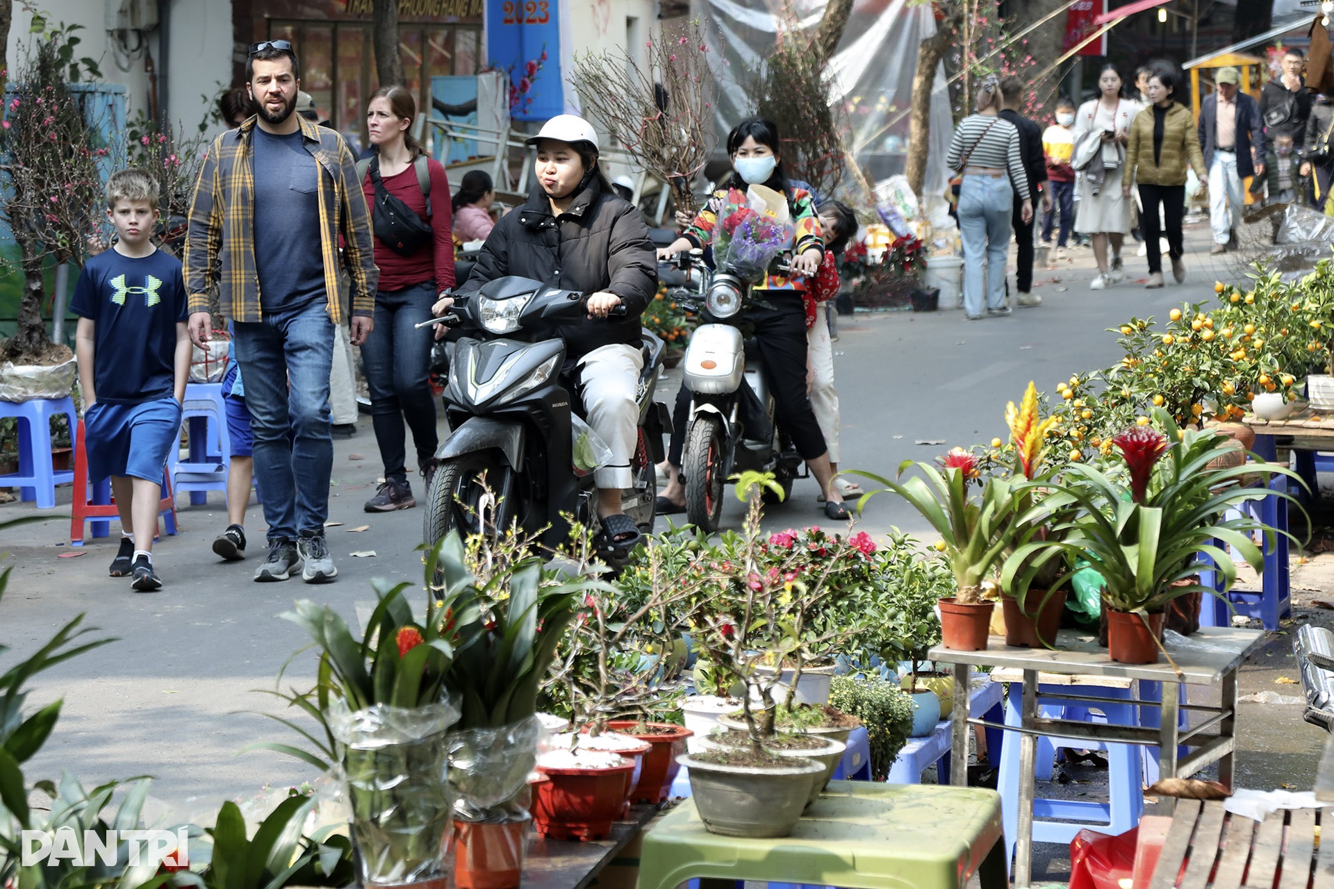 Hà Nội bình yên dưới nắng vàng rực rỡ ngày 30 Tết - 13 Hà Nội bình yên dưới nắng vàng rực rỡ ngày 30 Tết - 13