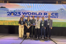 Gạo Việt Nam đạt giải ngon nhất thế giới năm 2023