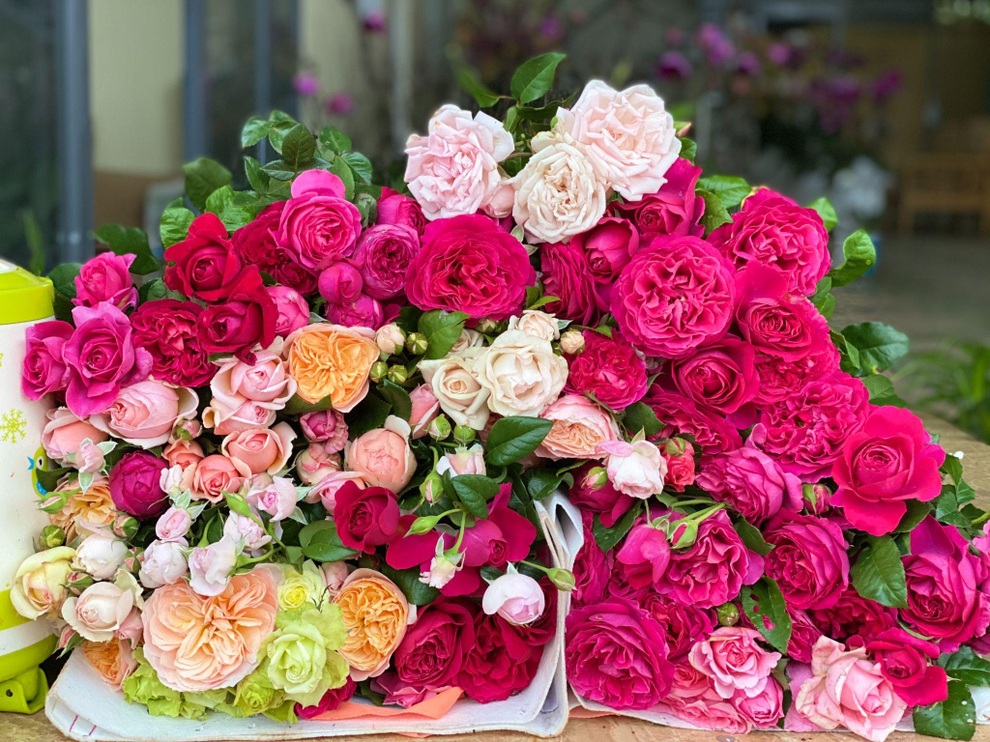 9X Đắk Lắk đánh liều bán ô tô, vay tiền thuê đất, làm vườn hồng 10.000 gốc - 8