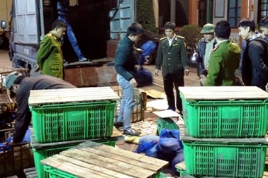 Bắt giữ hơn 1,3 tấn rùa, rắn đang vận chuyển trên xe tải